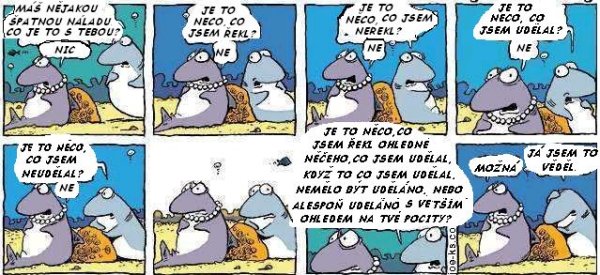 Partnerske porozumeni